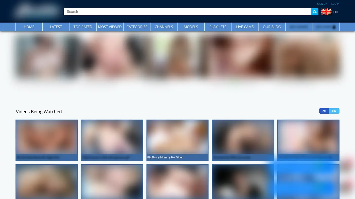 How to Download Videos from Analdin