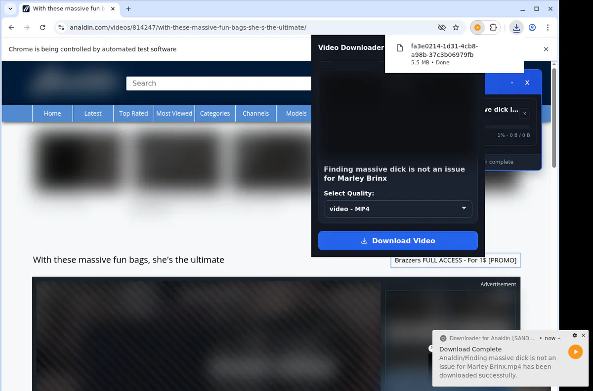 How to Bulk Download Analdin Videos
