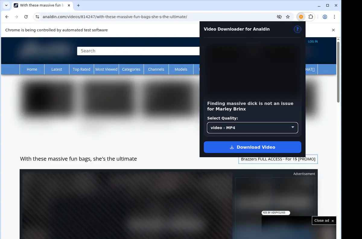 Analdin Video Downloader: Tips and Troubleshooting
