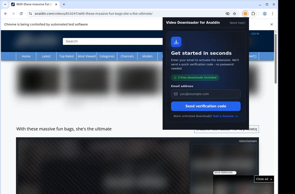 Analdin Video Downloader screenshot 5